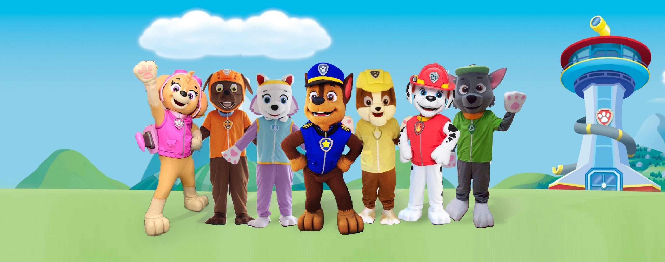 pawpatrol_banner