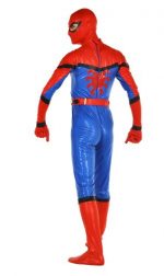 Spider-Man Costume - Rental