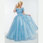 Cinderella Costume - Rental