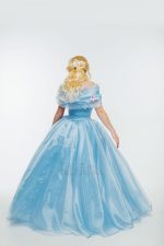 Cinderella Costume - Rental