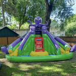 The Octopus - Image 3