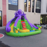 The Octopus - Image 4
