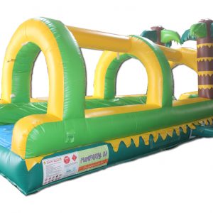 Inflatable Slip and Slide rental