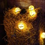 Veuve Noire – Photo Zone Halloween – Image 4