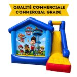 Pat Patrouille Super