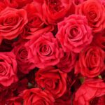 Heart-Shaped Floral Arch - Image 3