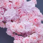 Heart-Shaped Floral Arch - Image 5
